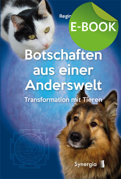 Botschaften aus einer Anderswelt, E-Book Botschaften aus einer Anderswelt, E-Book